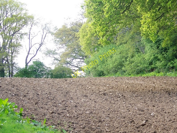 Photo 6"x4" Recent ploughing near Fryern Court Fordingbridge c2009