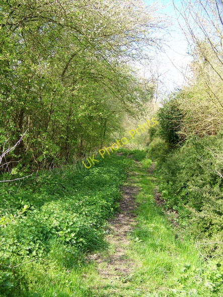 Photo 6"x4" Bridleway towards The Lawn Clearwood c2009
