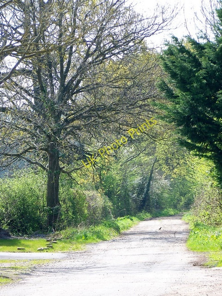 Photo 6"x4" Bridleway, Clivey Farm Brokerswood c2009