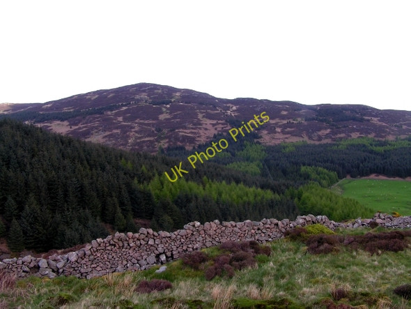 Photo 6"x4" Bengairn as seen from Dungarry Fort Auchencairn\/NX7951 c2009