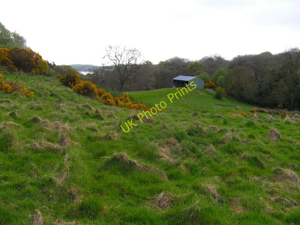 Photo 6"x4" Shed in Bankend Auchencairn\/NX7951 c2009