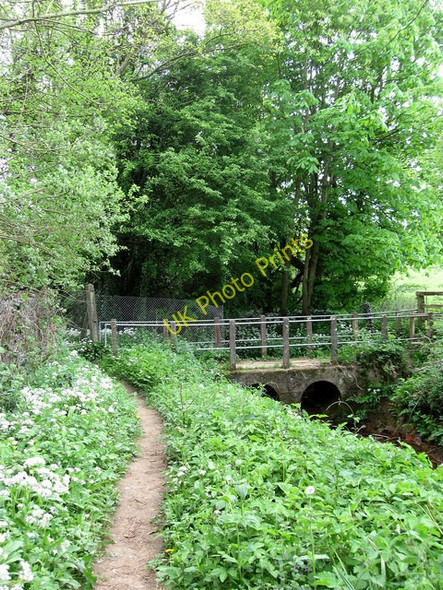 Photo 6"x4" Footbridge over Darwell Stream Robertsbridge c2009