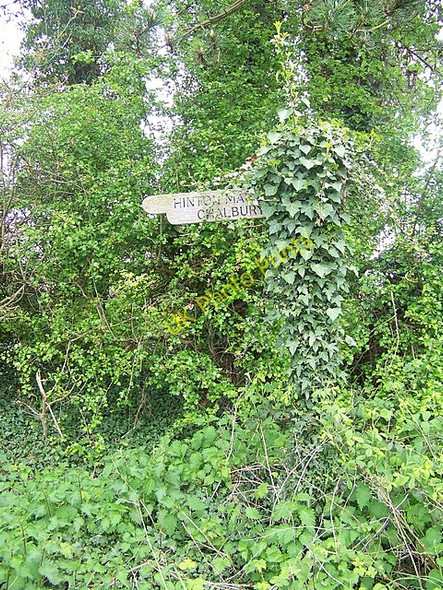 Photo 6"x4" Sign, Woodcutts Farm Gaunt's Common c2009