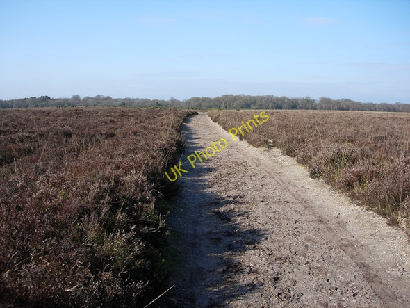 Photo 6"x4" Path across Dibden Bottom Applemore c2009
