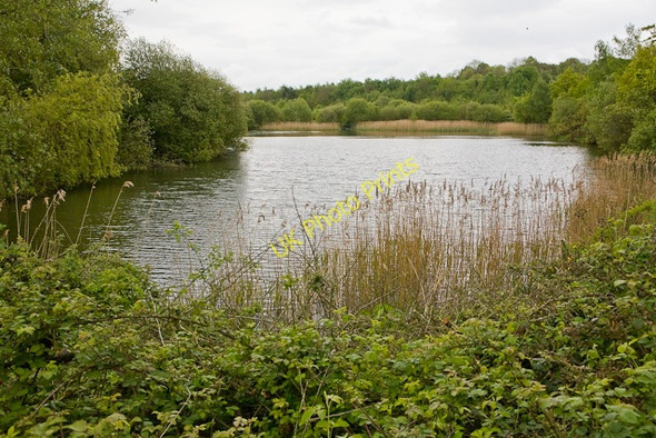 Photo 6"x4" Lake south of Funtley Road Fareham c2009
