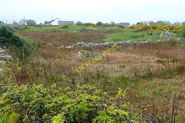 Photo 6"x4" An Lipe (Lippa) Ballynahown\/M1822 c2009