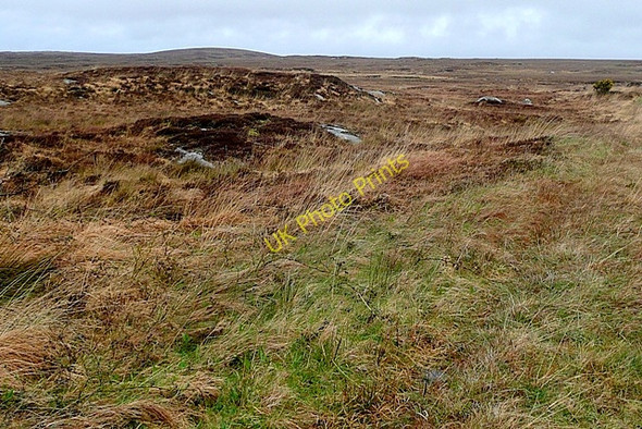 Photo 6"x4" An Lipe (Lippa) Ballynahown\/M1822 c2009 P1