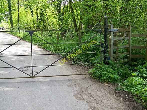 Photo 6"x4" Footpath, Rowberry Farm Ferne c2009