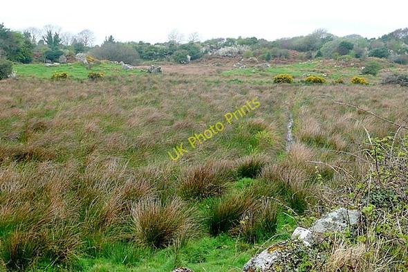 Photo 6"x4" Doire Uachtair (Derryoughter) Ballynahown\/M1822 c2009