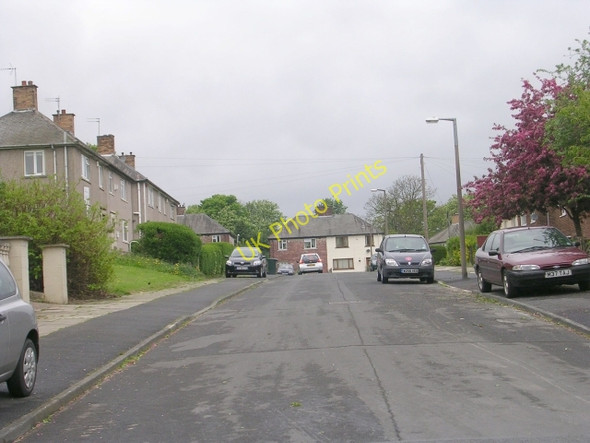 Photo 6"x4" Ryton Dale - Roundwood Glen Greengates\/SE1936 c2009