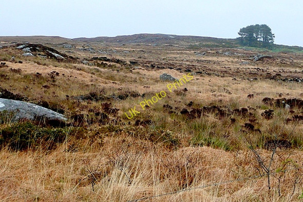 Photo 6"x4" Doire Chrith (Derrycrih) Barna c2009