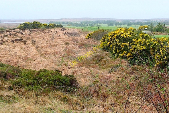 Photo 6"x4" Bearna (Barna) golf course Barna c2009 P1