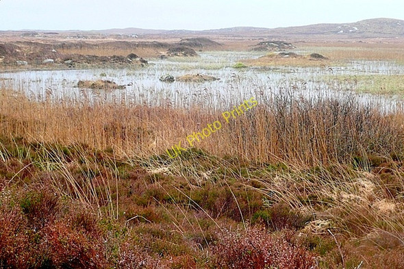 Photo 6"x4" Loch Chnoc an Champa Barna c2009