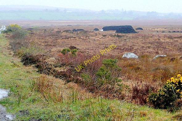 Photo 6"x4" Poll na Clocha (Pollnaclogha) Moycullen c2009 P3
