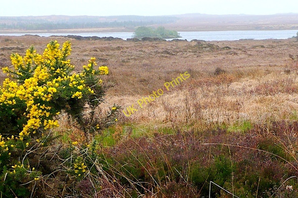 Photo 6"x4" Loch an Chip (Lough Kip) Moycullen c2009