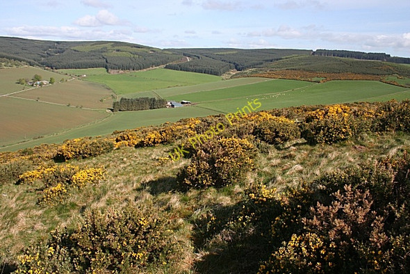 Photo 6"x4" Millhockie Hill Tullynessle c2009