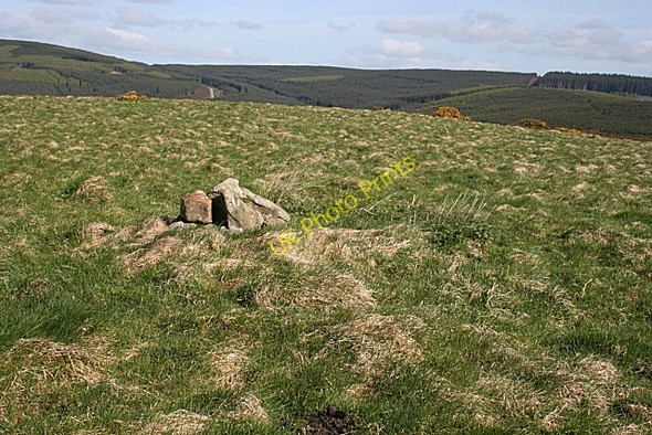 Photo 6"x4" Cairn on Millhockie Hill Tullynessle c2009
