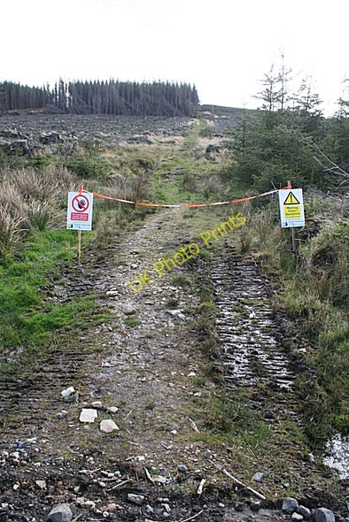 Photo 6"x4" Knock Saul Leslie\/NJ5924 c2009