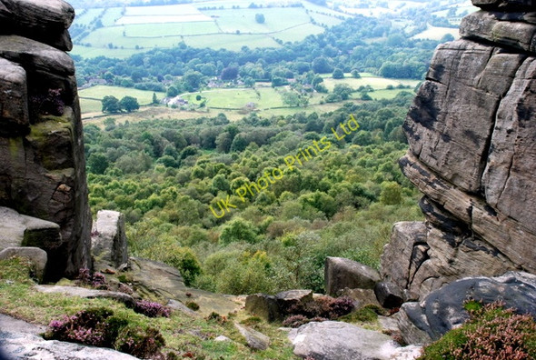 Photo 6"x4" Birch woodland as seen from Froggatt Edge Calver Sough c2007