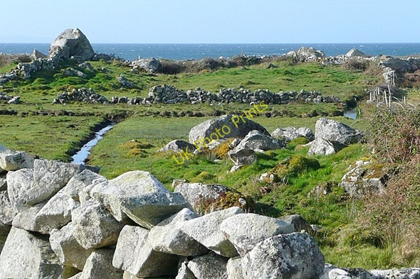 Photo 6"x4" Cora Sh\u00c3\u00a1ile Chuanna Spiddle c2009 P1