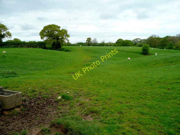 Photo 6"x4" Pasture land in the Weaver valley School Green\/SJ6464 c2009
