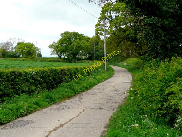 Photo 6"x4" Farm road from Weaverwood Farm School Green\/SJ6464 c2009