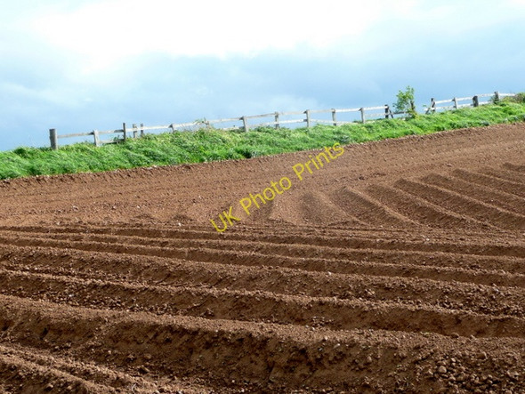 Photo 6"x4" Potato land Shirebrook c2009