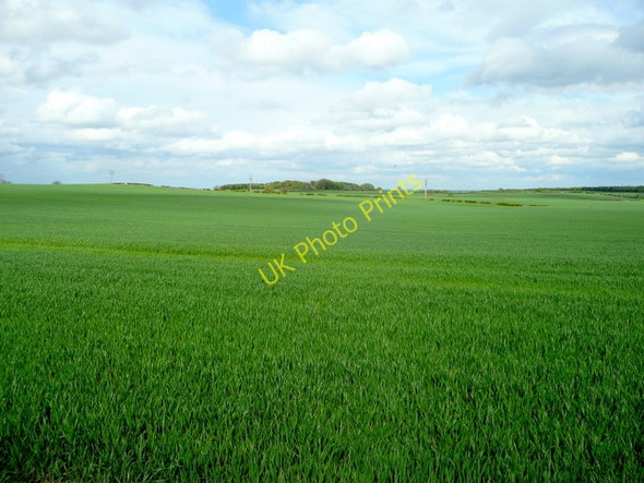 Photo 6"x4" Bolsover Moor arable 1 Bolsover c2009