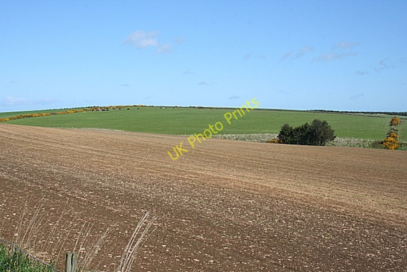 Photo 6"x4" Hill of Petty Rothienorman c2009