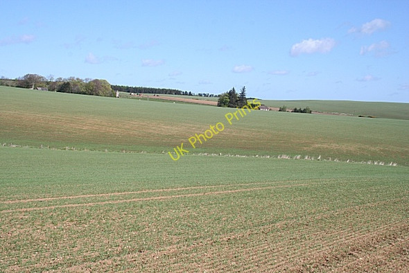 Photo 6"x4" Hill of Petty Rothienorman c2009