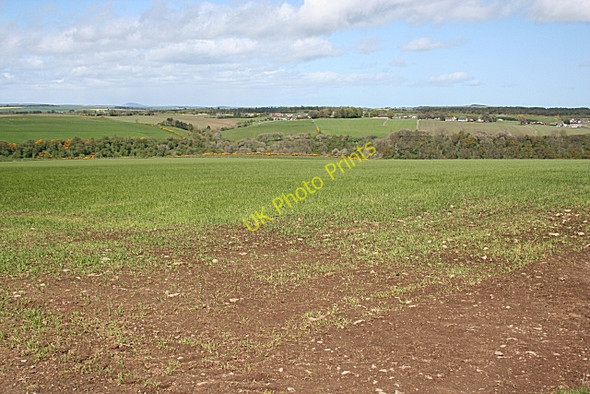 Photo 6"x4" Near St John's Wells Woodhead\/NJ7938 c2009