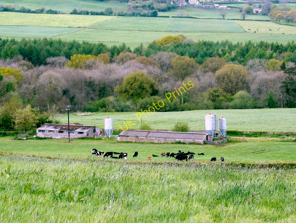 Photo 6"x4" 2009 : Looking north from Frog Lane Stoke St Michael c2009