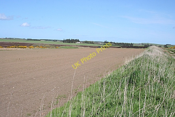 Photo 6"x4" Looking Towards Middlemuir Middlemuir\/NJ9057 c2009