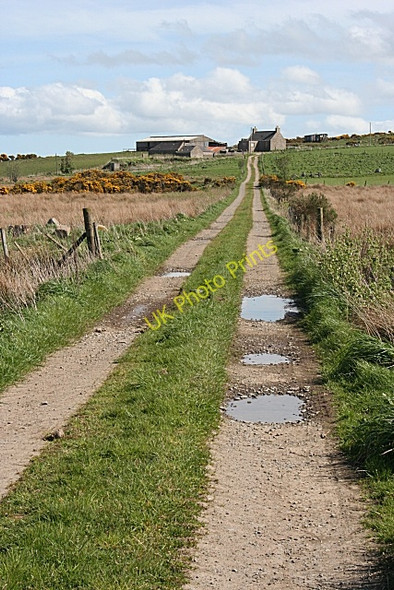 Photo 6"x4" The Track to Balnamoon Balnamoon\/NJ8955 c2009