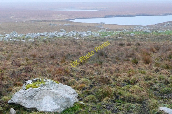 Photo 6"x4" Leitir Fir (Letterfir) Loughaunbeg c2009