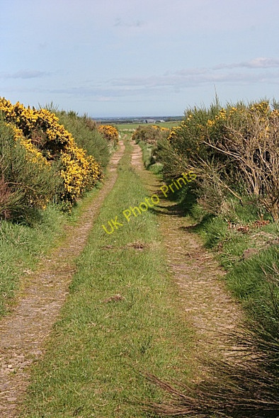 Photo 6"x4" Track to Greenburn Mountsolie c2009