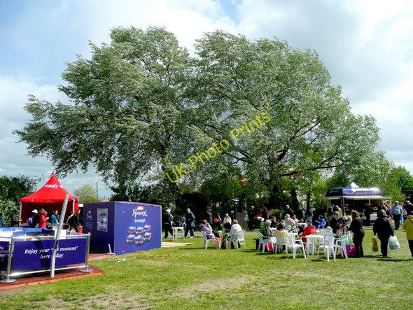Photo 6"x4" Blustery day at Malvern Spring Gardening Show 2009 Malvern Wells c2009