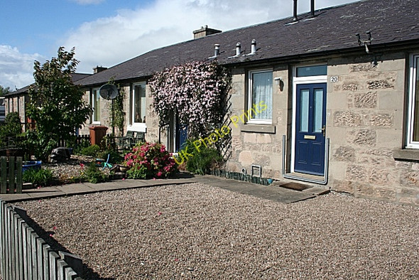 Photo 6"x4" Contrasting Gardens Elgin c2009