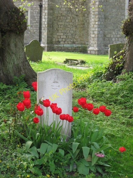 Photo 6"x4" A War Grave with Tulips, St Michael's, Halton Wendover c2009