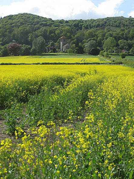 Photo 6"x4" Little Malvern Priory Upper Welland c2009