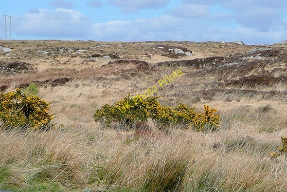 Photo 6"x4" Baile na hAbhann Thuaidh (Ballynahown North) Cartron c2009 P1