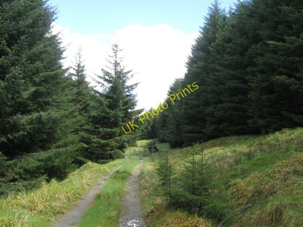 Photo 6"x4" Forestry track below Beinn Bh\u00c3\u00a0n Laggan\/NN2996 c2009