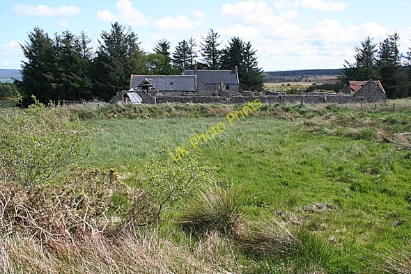 Photo 6"x4" Former Pond at Monimouies Clackmarras c2009