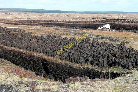 Photo 6"x4" Both Brach\u00c3\u00a1in (Bovroughan) Bog Costelloe c2009