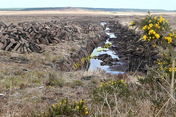 Photo 6"x4" Both Brach\u00c3\u00a1in (Bovroughan) Bog Loughaunbeg c2009