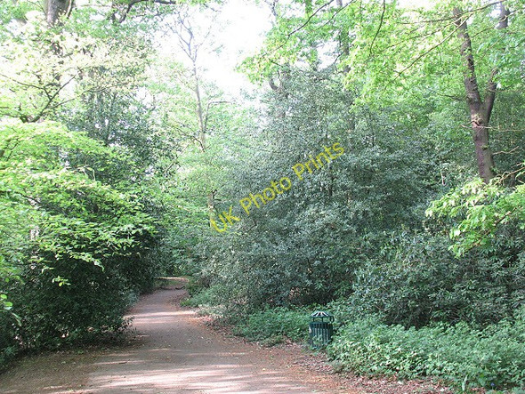 Photo 6"x4" Path on Eltham Common Eltham c2009