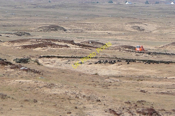 Photo 6"x4" Both Brach\u00c3\u00a1in (Bovroughan) Bog Costelloe c2009