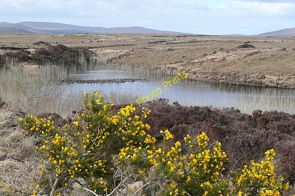 Photo 6"x4" Both Brach\u00c3\u00a1in (Bovroughan) Bog Costelloe c2009 P1
