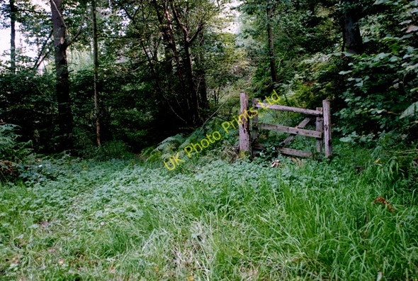 Photo 6"x4" Parting of the ways Unthank\/SK3076 c2007