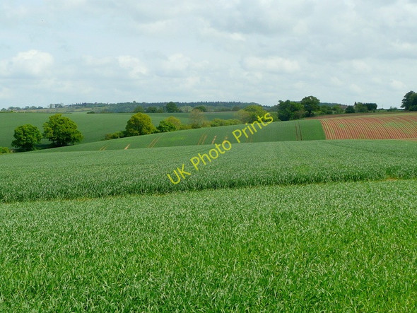 Photo 6"x4" Farmland near Bromsash, May 2009 Bromsash c2009